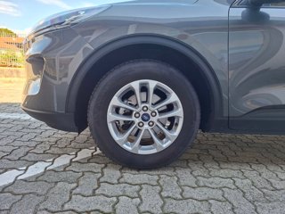 FORD Kuga 1.5 ecoboost titanium x 2wd 150cv